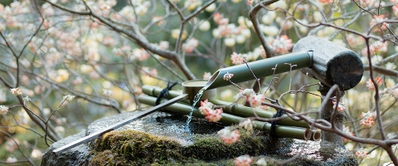  大原☆額縁庭園「宝泉院」