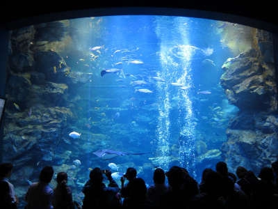 京都水族館