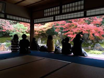 紅葉スポット 圓徳院