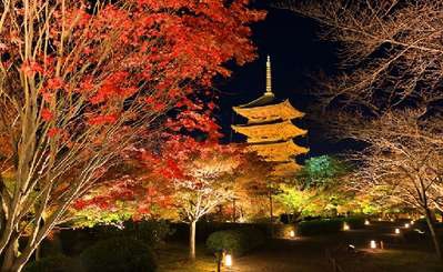 東寺の夜間特別拝観 ライトアップ