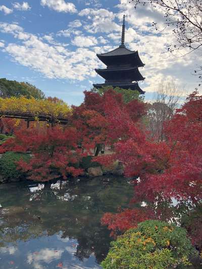 ♪京都の紅葉♪