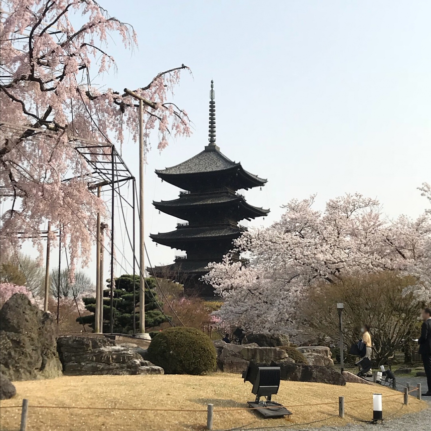 世界遺産 東寺