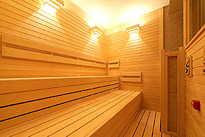 Sauna for gentlemen image